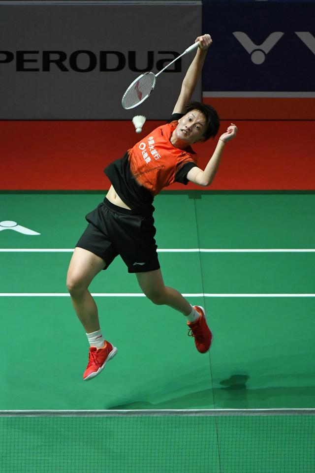 供了有益的 供了有益的