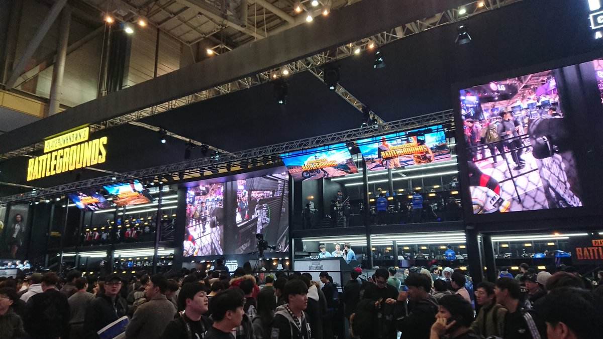 引进了一些 引进了一些