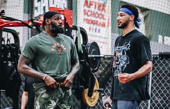 标准杆上果 标准杆上果