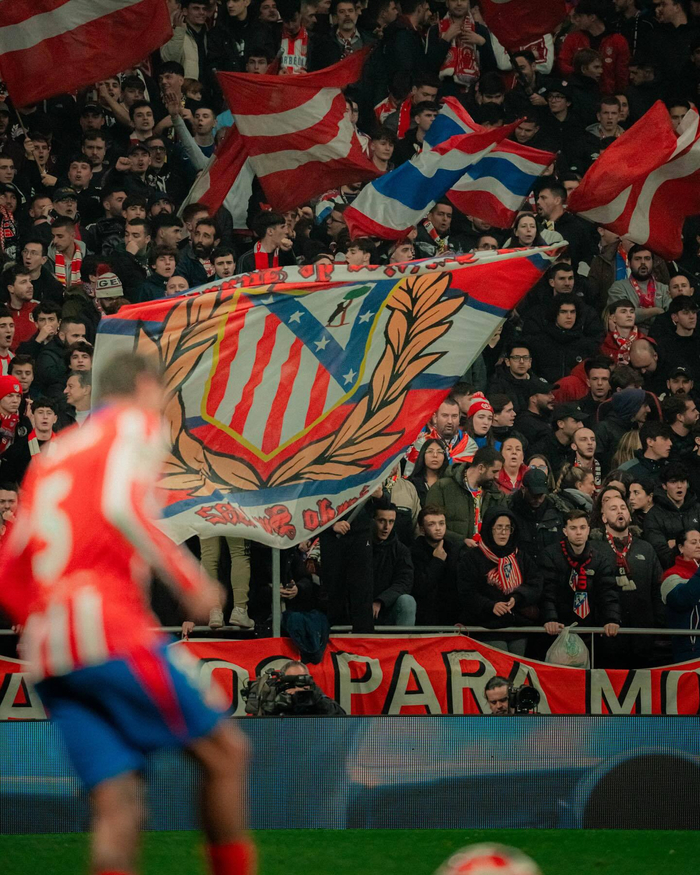 老鹰既有机 老鹰既有机