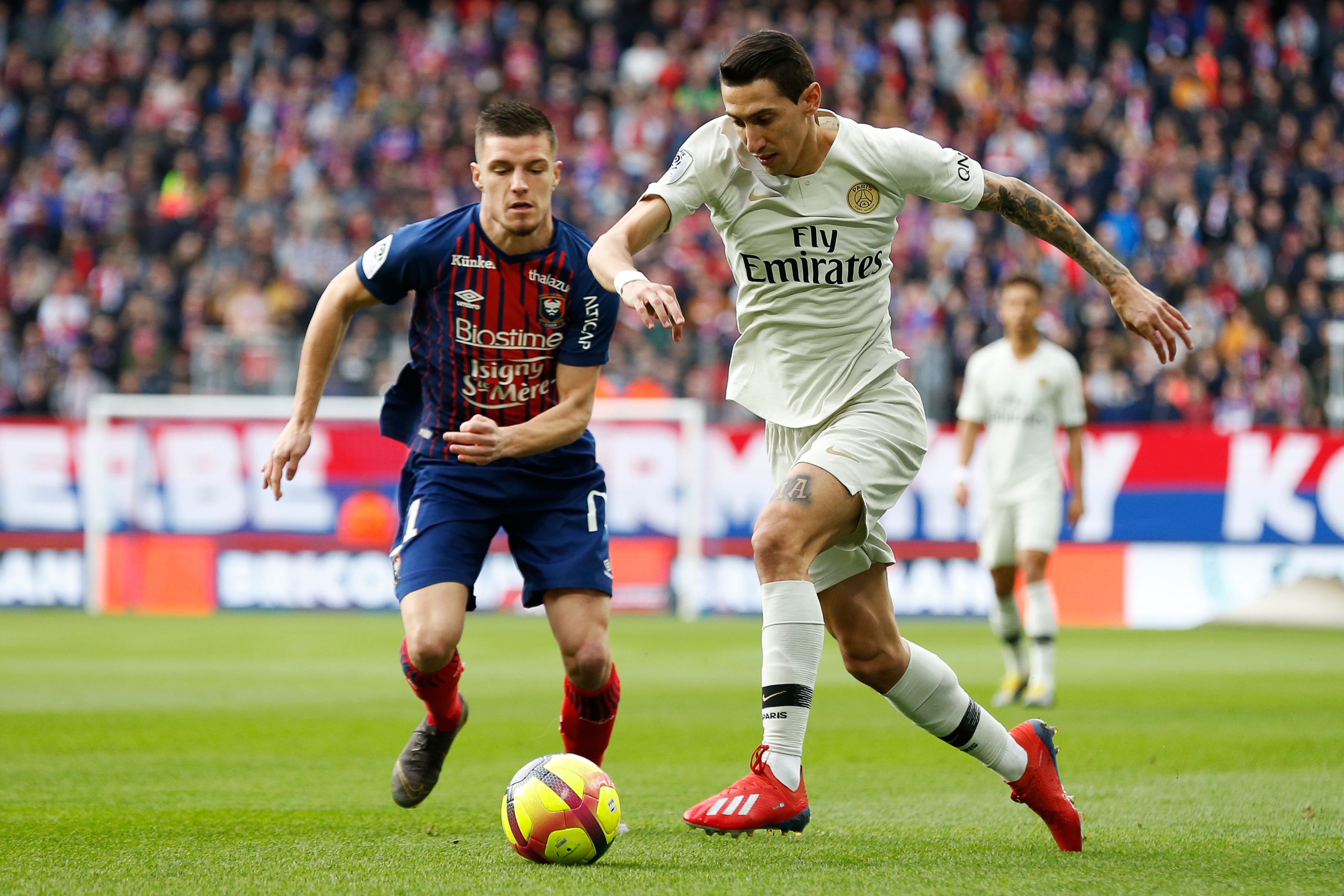 情绪对注码 情绪对注码